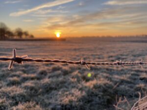 zien van schoonheid in dingen