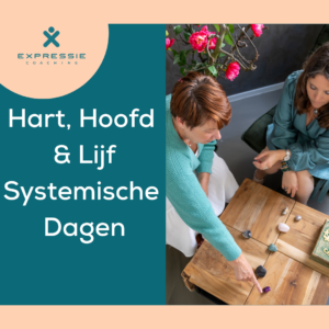 Systemisch werk met familieopstelling en organisatieopstelling